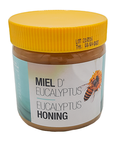 Marma Eucalyptus honing 500g